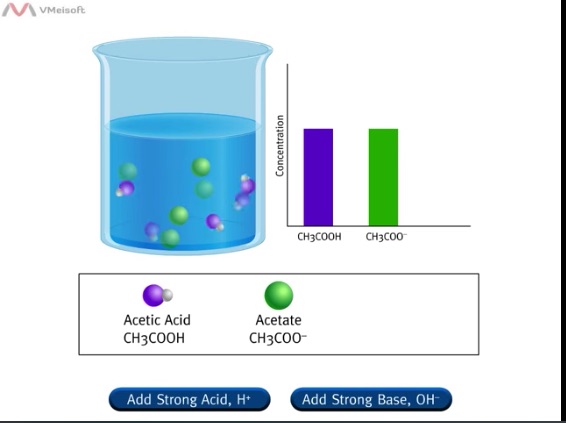 Buffer solution particle explanation