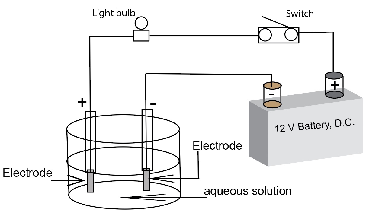 electrolyte diagram
