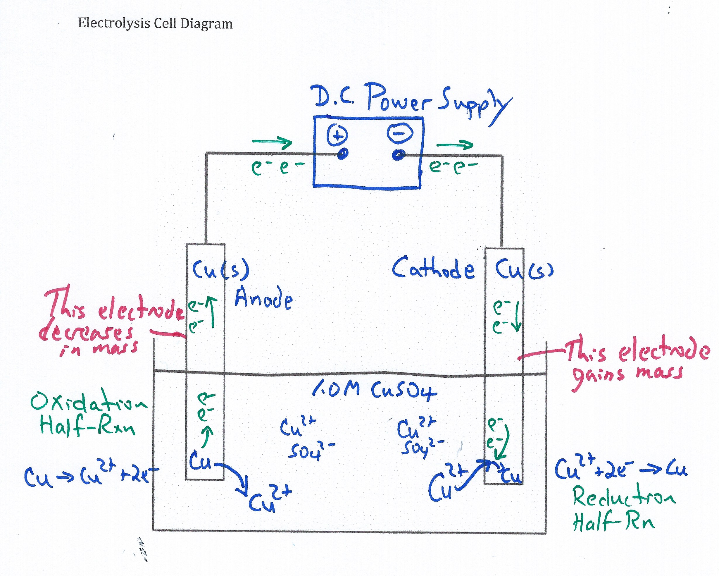 copper copper electrolysis cell student diagram