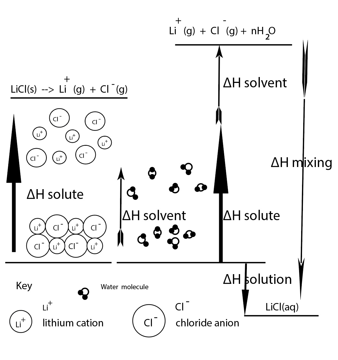 Enthalpy diagram dissolving LiCl theoretical