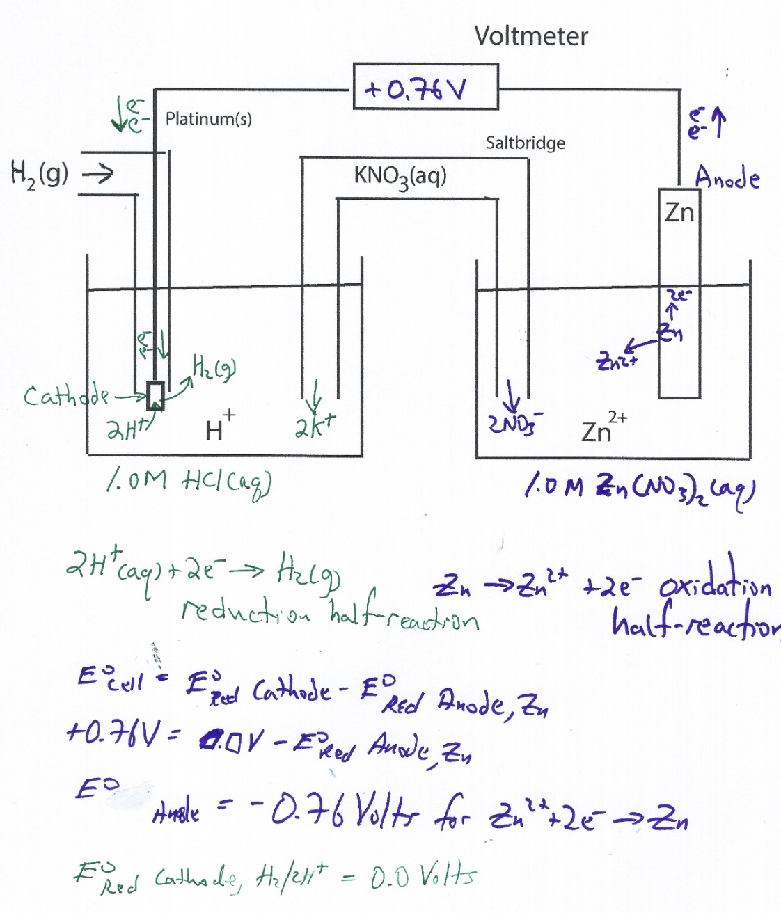 standard hydrogen electrode diagram student work1832