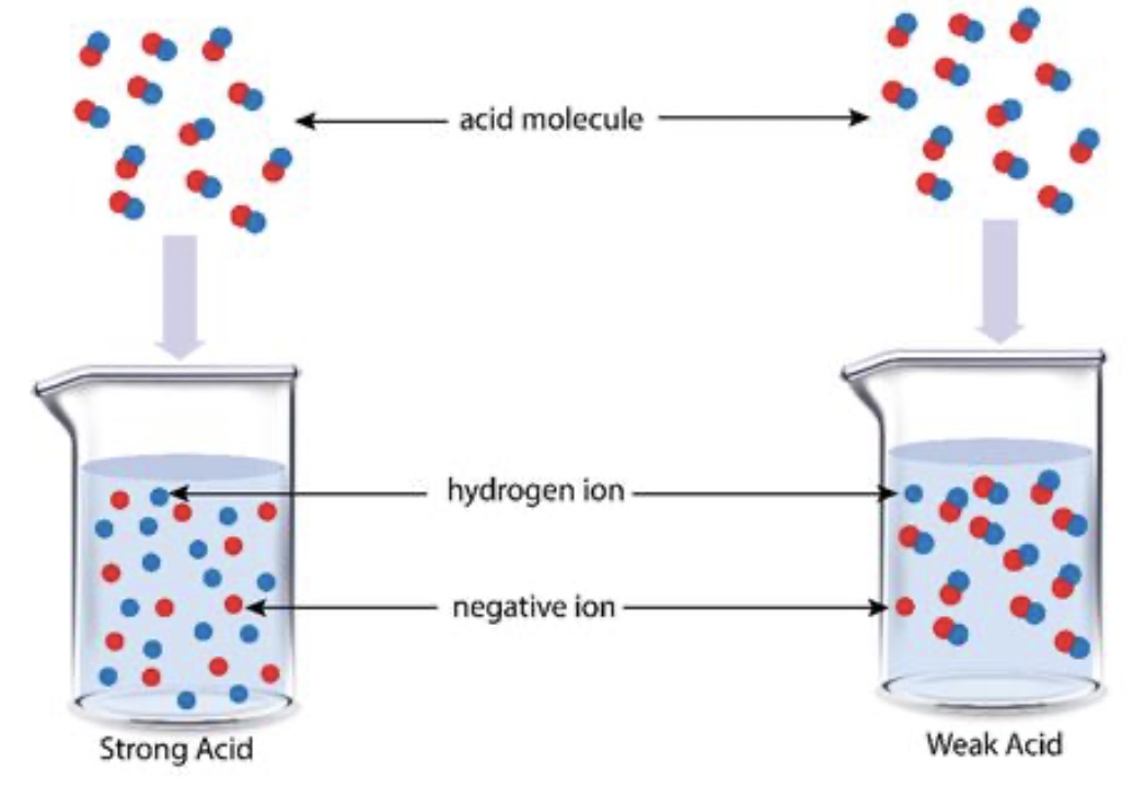 Strong vs Weak acid particle diagrams